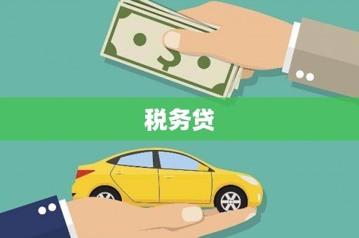 丽水税务贷