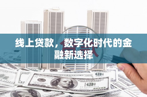 丽水线上贷款，数字化时代的金融新选择
