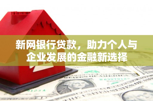 丽水新网银行贷款，助力个人与企业发展的金融新选择
