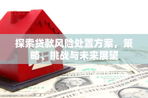 丽水探索贷款风险处置方案，策略、挑战与未来展望