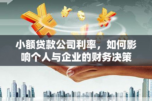 丽水小额贷款公司利率，如何影响个人与企业的财务决策