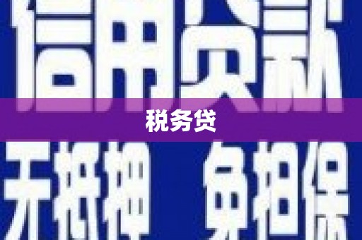 丽水税务贷