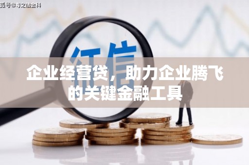 丽水企业经营贷，助力企业腾飞的关键金融工具