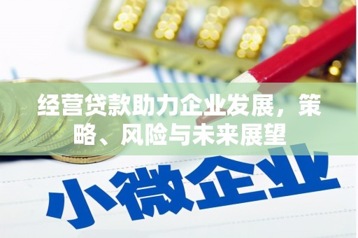 丽水经营贷款助力企业发展，策略、风险与未来展望