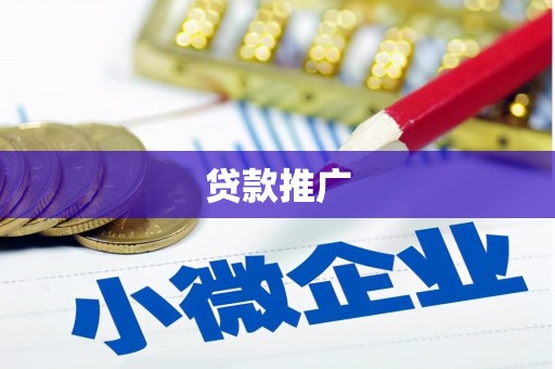 丽水贷款推广