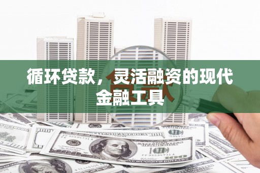 丽水循环贷款，灵活融资的现代金融工具