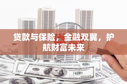 丽水贷款与保险，金融双翼，护航财富未来