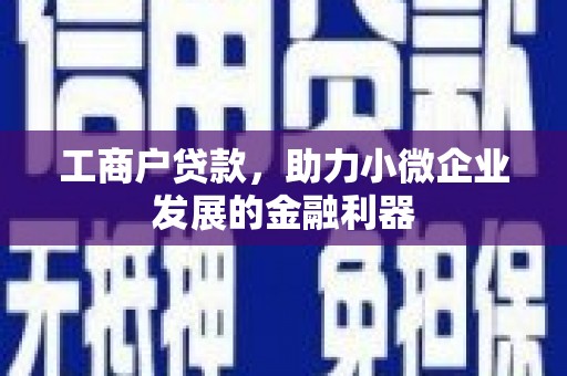 丽水工商户贷款，助力小微企业发展的金融利器