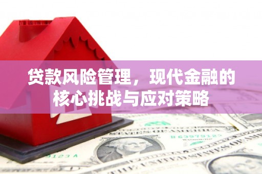 丽水贷款风险管理，现代金融的核心挑战与应对策略