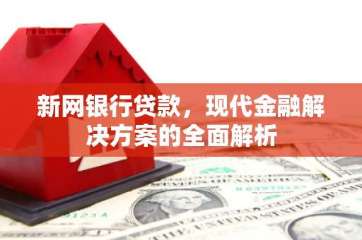 丽水新网银行贷款，现代金融解决方案的全面解析