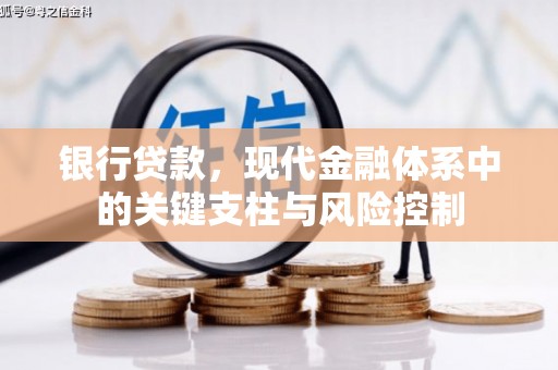 丽水银行贷款，现代金融体系中的关键支柱与风险控制