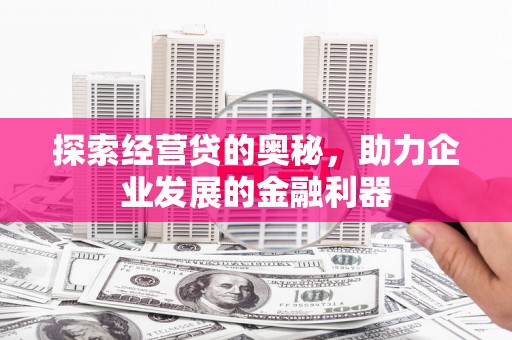 丽水探索经营贷的奥秘，助力企业发展的金融利器