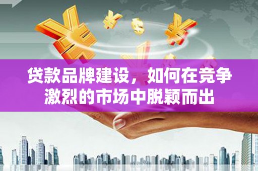 丽水贷款品牌建设，如何在竞争激烈的市场中脱颖而出