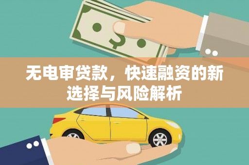 丽水无电审贷款，快速融资的新选择与风险解析