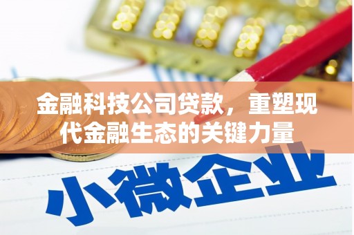 丽水金融科技公司贷款，重塑现代金融生态的关键力量