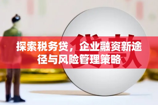 丽水探索税务贷，企业融资新途径与风险管理策略