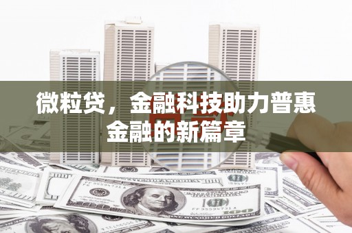 丽水微粒贷，金融科技助力普惠金融的新篇章