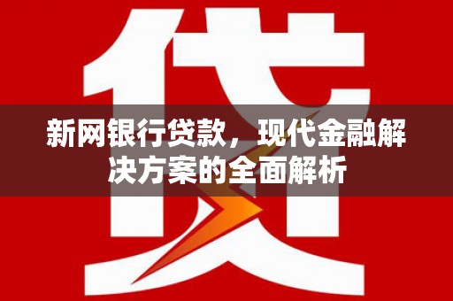丽水新网银行贷款，现代金融解决方案的全面解析