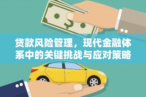 丽水贷款风险管理，现代金融体系中的关键挑战与应对策略