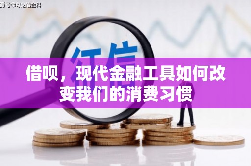 丽水借呗，现代金融工具如何改变我们的消费习惯