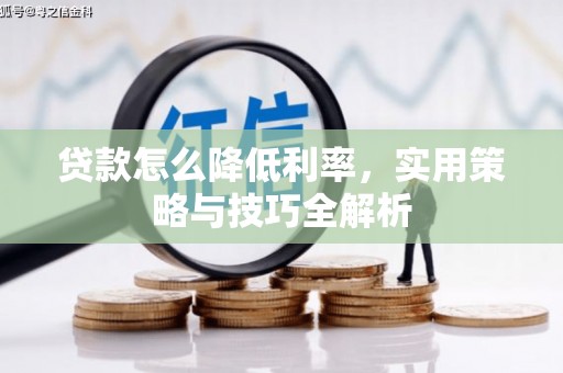 丽水贷款怎么降低利率，实用策略与技巧全解析