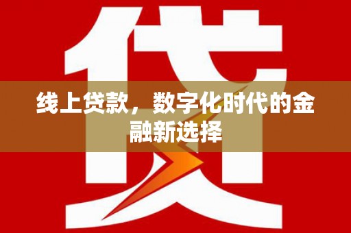 丽水线上贷款，数字化时代的金融新选择