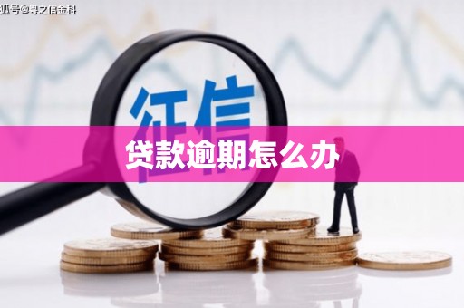 丽水贷款逾期怎么办