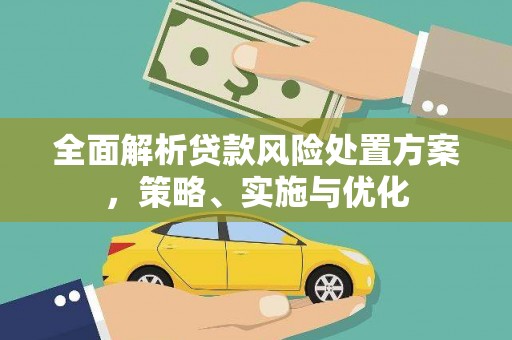 丽水全面解析贷款风险处置方案，策略、实施与优化