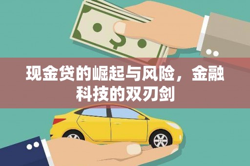 丽水现金贷的崛起与风险，金融科技的双刃剑