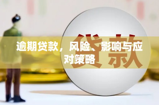 丽水逾期贷款，风险、影响与应对策略