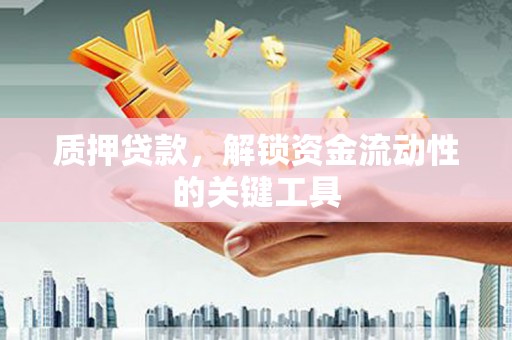 丽水质押贷款，解锁资金流动性的关键工具