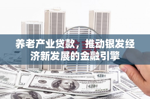 丽水养老产业贷款，推动银发经济新发展的金融引擎
