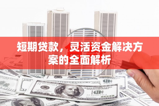 丽水短期贷款，灵活资金解决方案的全面解析