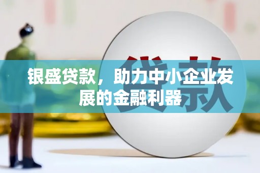 丽水银盛贷款，助力中小企业发展的金融利器