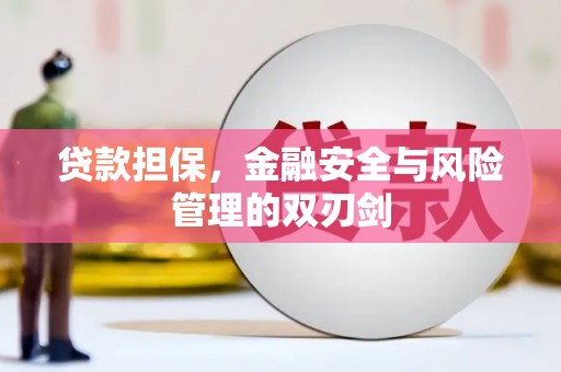 丽水贷款担保，金融安全与风险管理的双刃剑