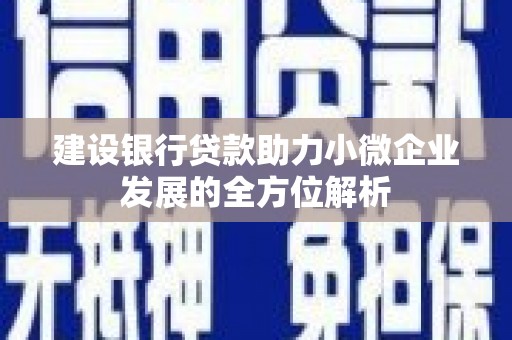 丽水建设银行贷款助力小微企业发展的全方位解析