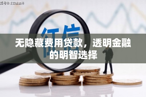 丽水无隐藏费用贷款，透明金融的明智选择