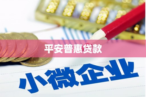 丽水平安普惠贷款