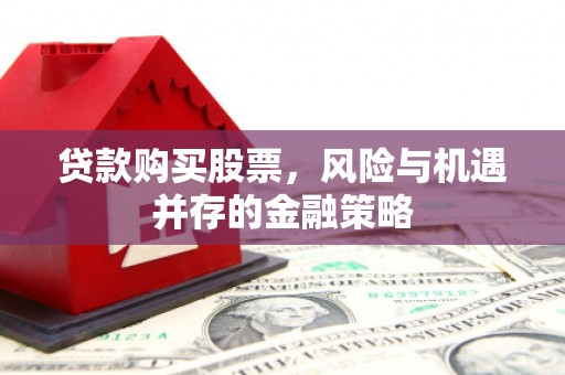 丽水贷款购买股票，风险与机遇并存的金融策略