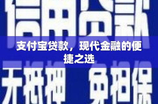 丽水支付宝贷款，现代金融的便捷之选
