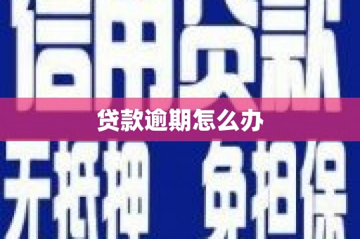 丽水贷款逾期怎么办