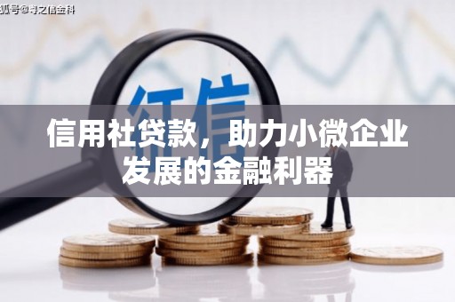 丽水信用社贷款，助力小微企业发展的金融利器