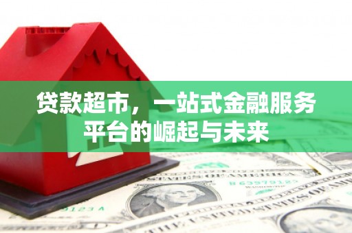 丽水贷款超市，一站式金融服务平台的崛起与未来