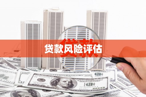 丽水贷款风险评估