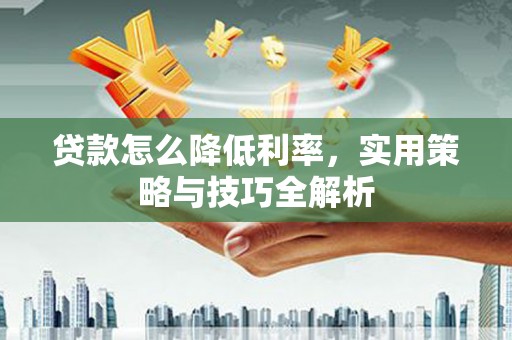 丽水贷款怎么降低利率，实用策略与技巧全解析