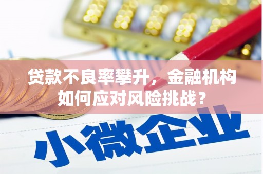 丽水贷款不良率攀升，金融机构如何应对风险挑战？