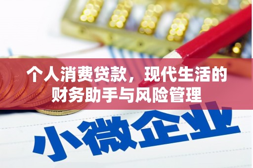 丽水个人消费贷款，现代生活的财务助手与风险管理