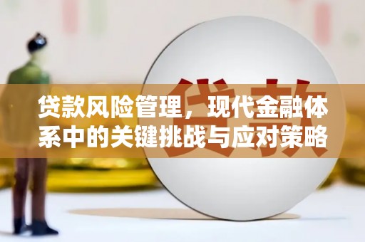 丽水贷款风险管理，现代金融体系中的关键挑战与应对策略