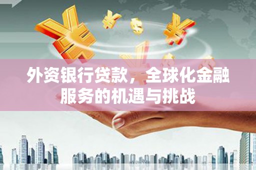 丽水外资银行贷款，全球化金融服务的机遇与挑战