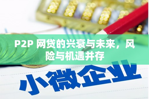 丽水P2P 网贷的兴衰与未来，风险与机遇并存